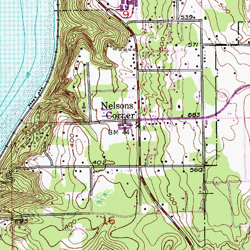 Topographic Map of Nelsons Corner, WA