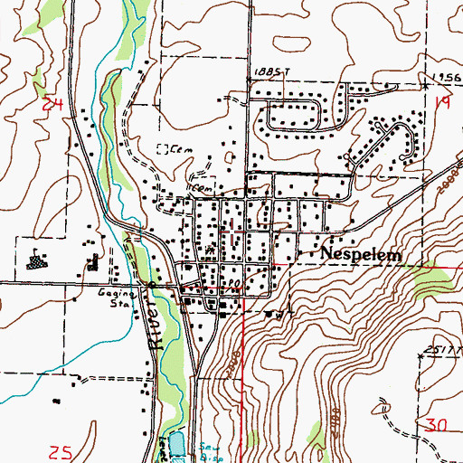 Topographic Map of Nespelem, WA