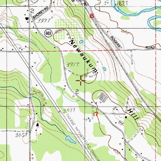 Topographic Map of Newaukum Hill, WA
