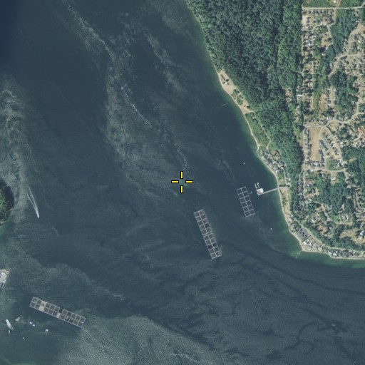 Aerial/Satellite Image of Orchard Rocks, WA