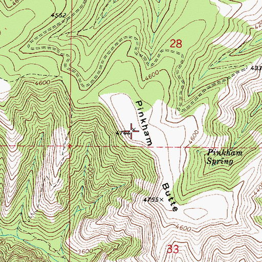Topographic Map of Pinkham Butte, WA