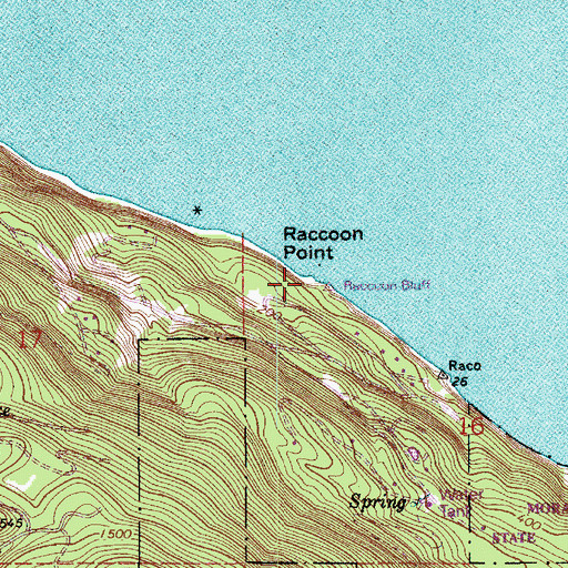 Topographic Map of Raccoon Point, WA