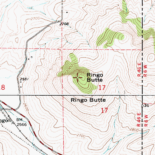 Topographic Map of Ringo Butte, WA