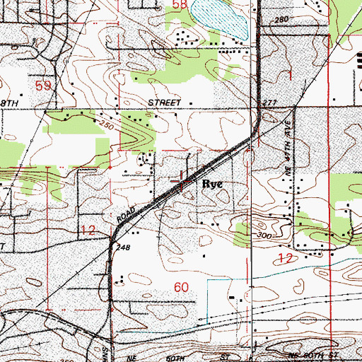 Topographic Map of Rye, WA