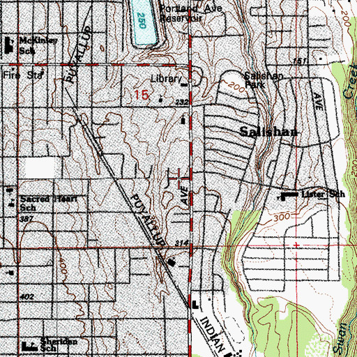 Topographic Map of Salishan, WA