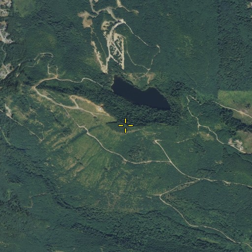 Aerial/Satellite Image of Scott Mountain, WA