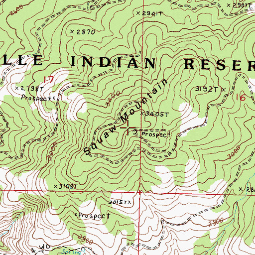 Topographic Map of Squaw Mountain, WA