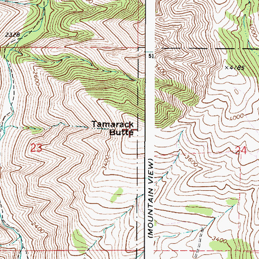 Topographic Map of Tamarack Butte, WA