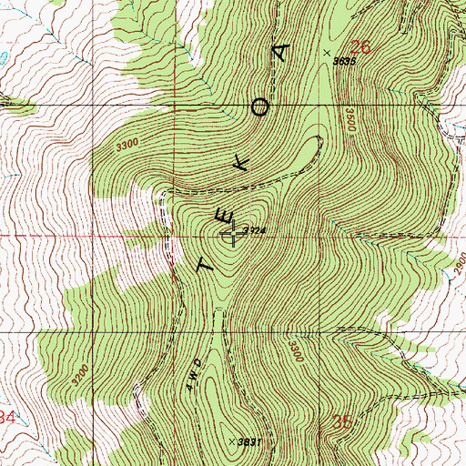 Topographic Map of Tekoa Mountain, WA