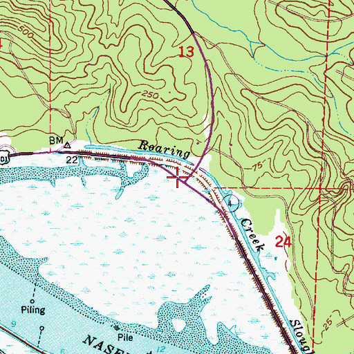 Topographic Map of Johnsons Landing, WA