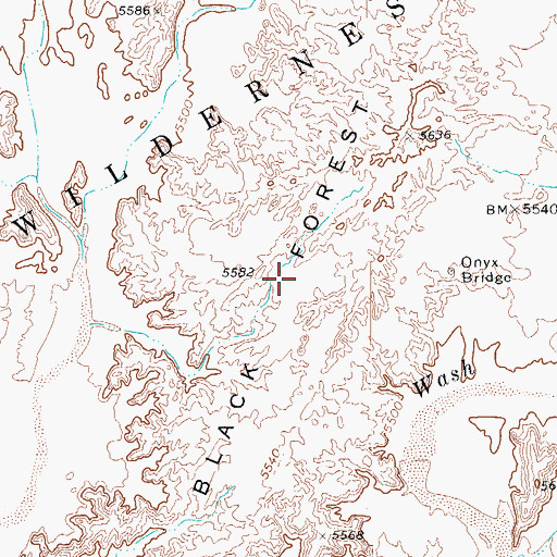 Topographic Map of Black Forest, AZ