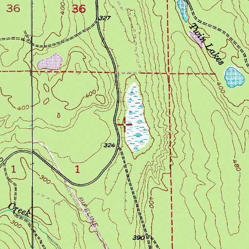 Topographic Map of Wahl Lake, WA