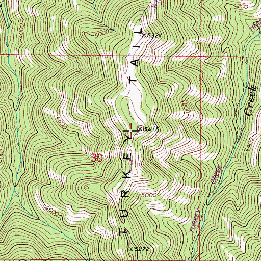 Topographic Map of Big Turkey Tail, WA