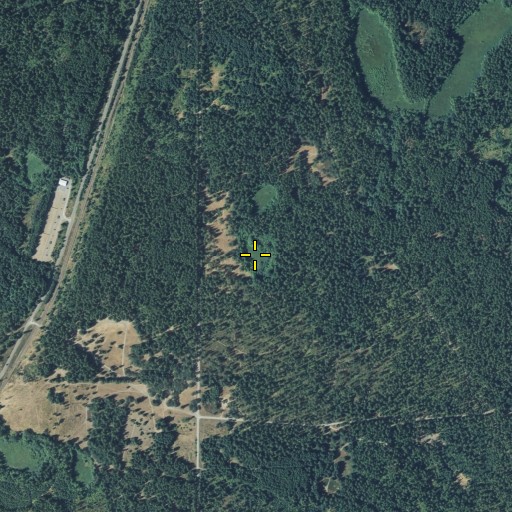 Aerial/Satellite Image of Bill Lake, WA