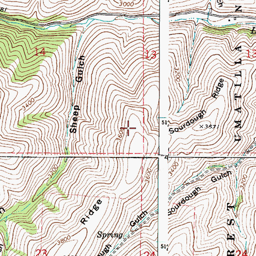 Topographic Map of Sourdough Ridge, WA