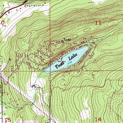 Topographic Map of Toad Lake, WA