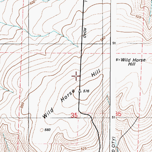 Topographic Map of Wild Horse Hill, WA