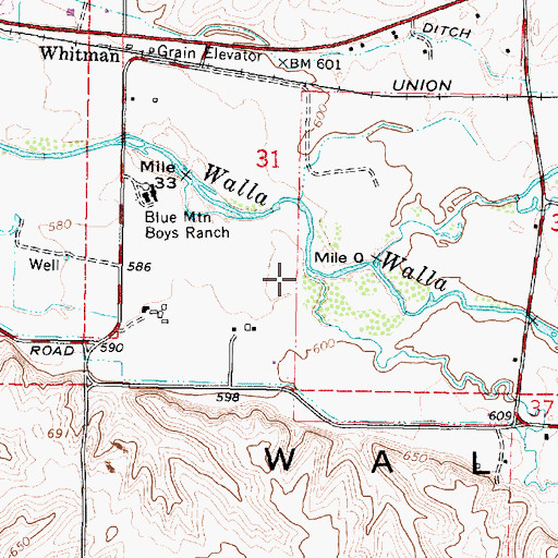 Topographic Map of West Little Walla Walla River, WA