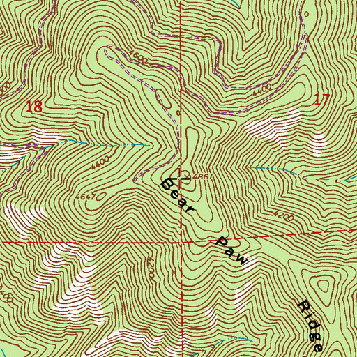 Topographic Map of Bear Paw Ridge, WA