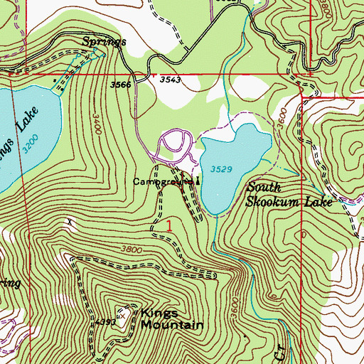 Topographic Map of South Skookum Lake Recreational Site, WA