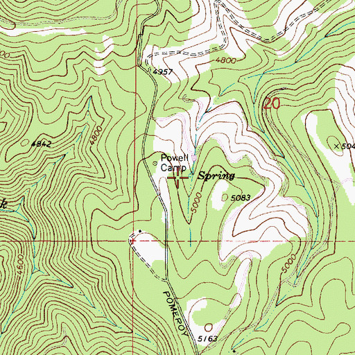 Topographic Map of Powell Spring, WA