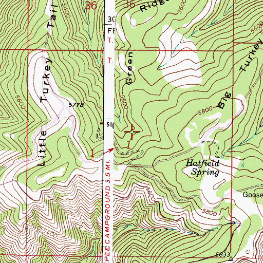 Topographic Map of Little Turkey Spring, WA