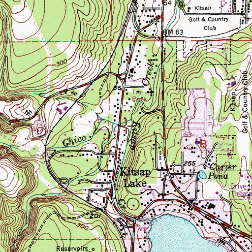 Topographic Map of Chico Interchange, WA