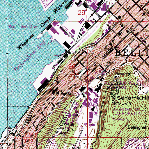 Topographic Map of Forest and Cedar Park, WA