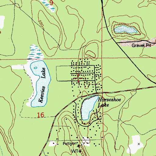 Topographic Map of One Hundred One Pines, WA