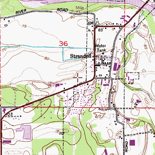 Topographic Map of Everson Elementary School, WA