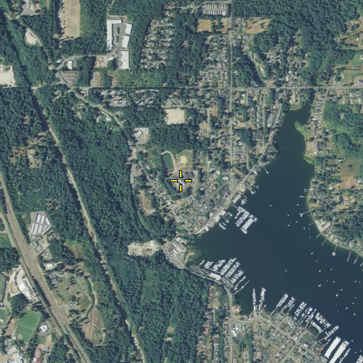Aerial/Satellite Image of Goodman Junior High School, WA