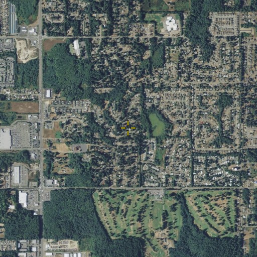 Aerial/Satellite Image of Treemont, WA