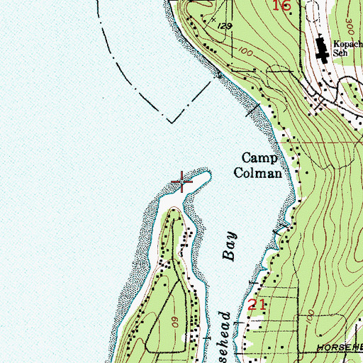 Topographic Map of Scott Point, WA