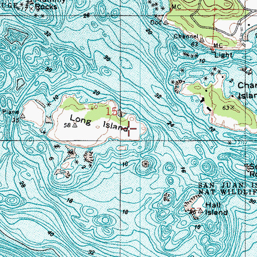 Topographic Map of Geese Islets, WA