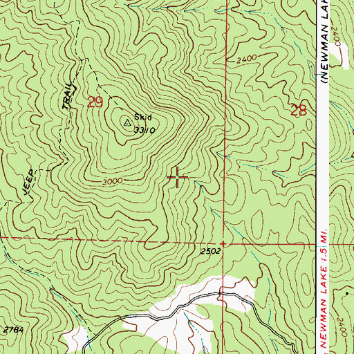 Topographic Map of Newman Creek, WA