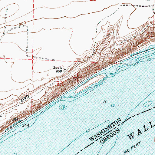 Topographic Map of Van Skinner Island, WA