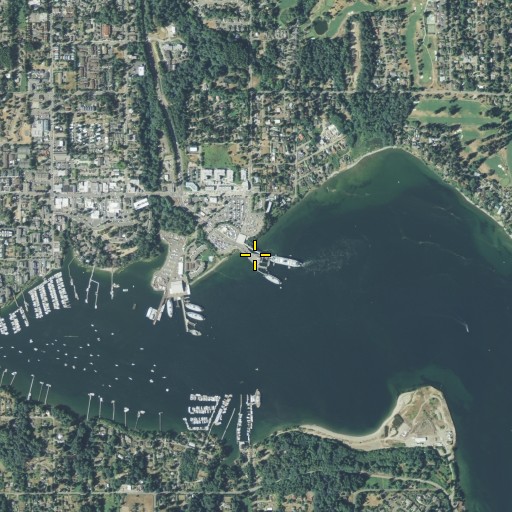 Aerial/Satellite Image of Hornbecks Spit, WA