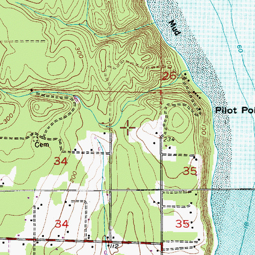 Topographic Map of Pilots Cove, WA
