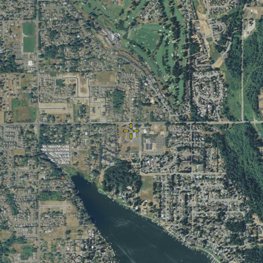 Aerial/Satellite Image of Meridian Elementary School, WA