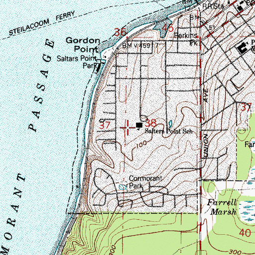 Topographic Map of Saltars Point Elementary School, WA