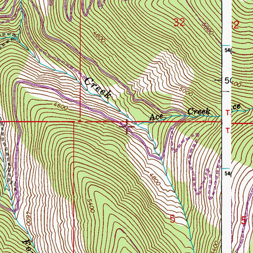 Topographic Map of Ace Creek, WA