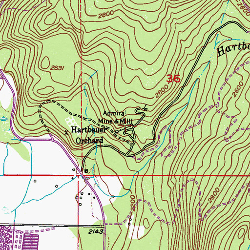 Topographic Map of Admiral Mine and Mill, WA