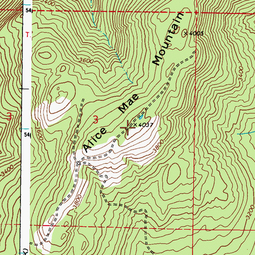 Topographic Map of Alice Mae Mountain, WA