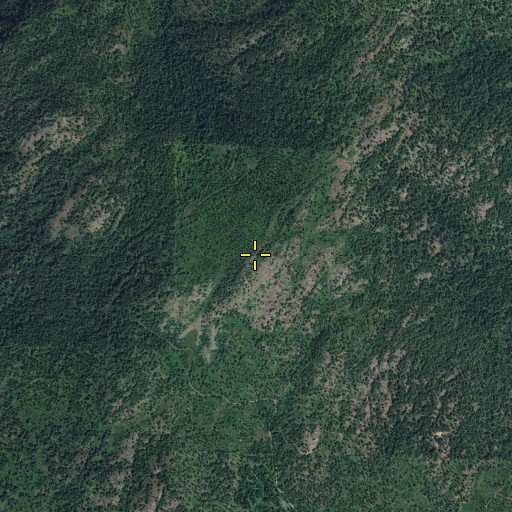 Aerial/Satellite Image of Alice Mae Mountain, WA