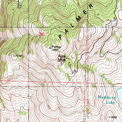 Topographic Map of Alice Mine, WA