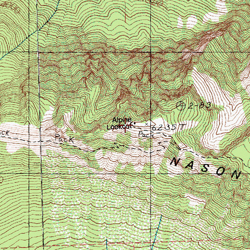 Topographic Map of Alpine Lookout, WA