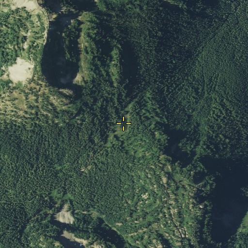 Aerial/Satellite Image of Anderson Lake, WA