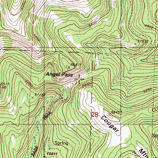 Topographic Map of Angel Pass, WA