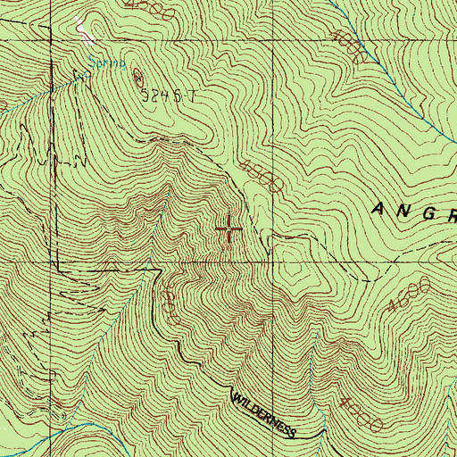 Topographic Map of Angry Mountain Trail, WA