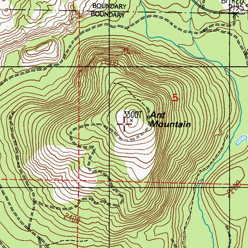 Topographic Map of Ant Mountain, WA